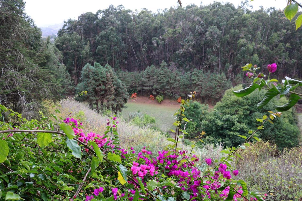 Duplex De Invitados En Medio Del Bosque Villa Firgas Kültér fotó