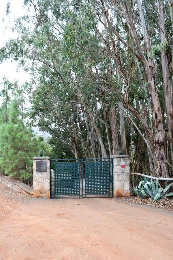 Duplex De Invitados En Medio Del Bosque Villa Firgas Kültér fotó